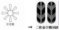 無題.png