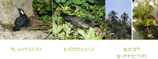 無題.png