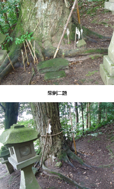 無題.png