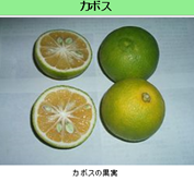 無題.png