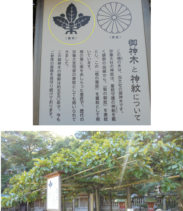 無題.png