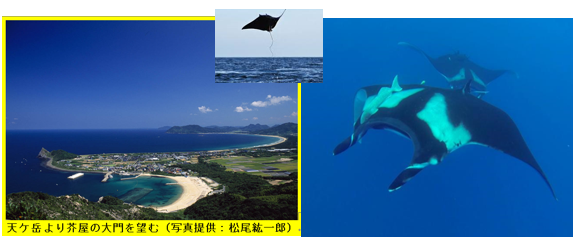無題.png