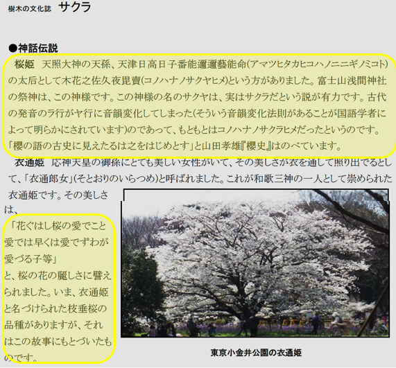無題.png