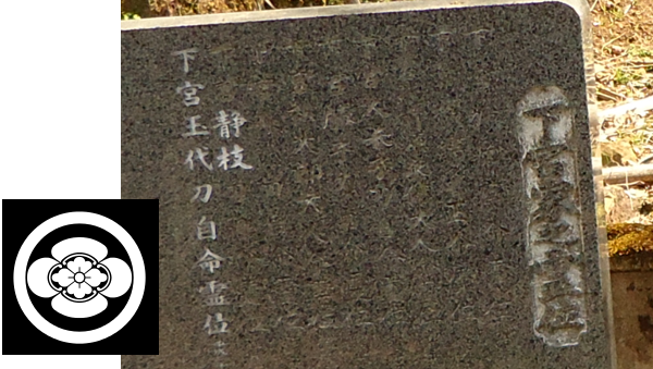 無題.png