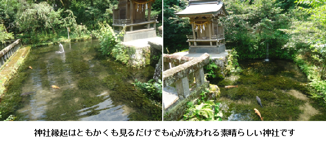 無題.png