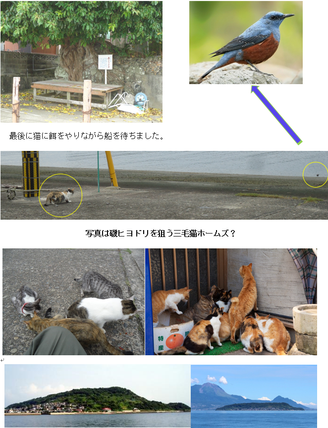 無題.png