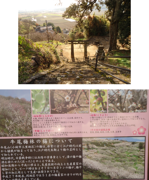 無題.png