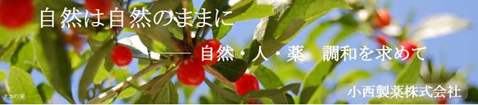 無題.png