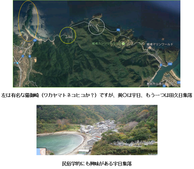 無題.png