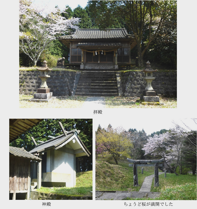 無題.png