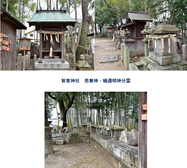 無題.png