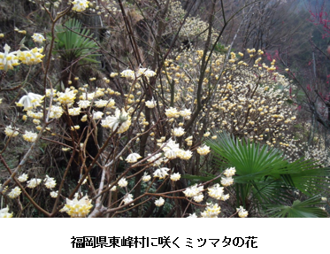 無題.png