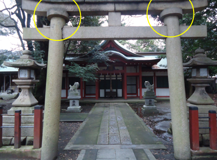 無題.png