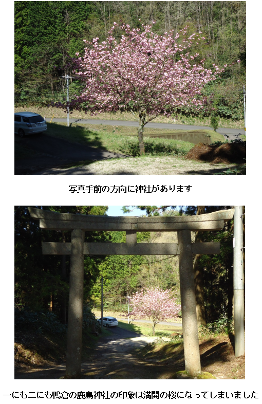 無題.png