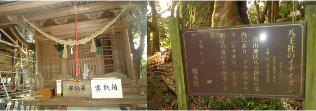 無題.png