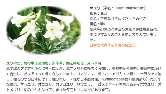 無題.png