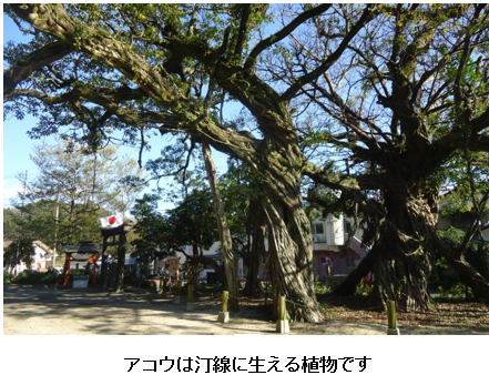 無題.png